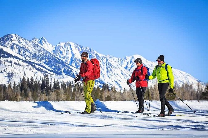 4 Hour Beginner Cross Country Skiing in Grand Teton - Pacing and Comfort: Leisure Activity That Still Feels Like Progress