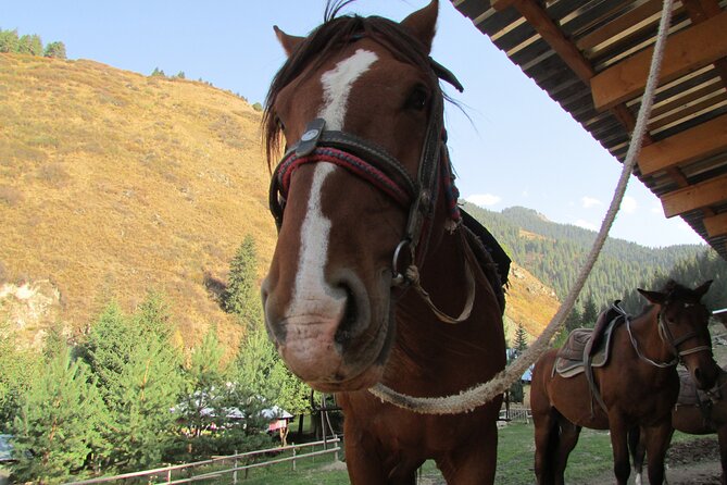 5 days sightseeing and skiing trip in Kyrgyzstan - Day 5: Skazka Canyon after Tosor, with time to wander