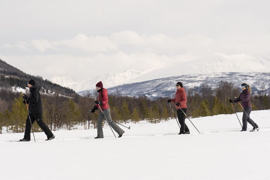Breivikeidet: Cross-Country Skiing & Husky Visit - Price and Value: Is $145 Good for What You Get?
