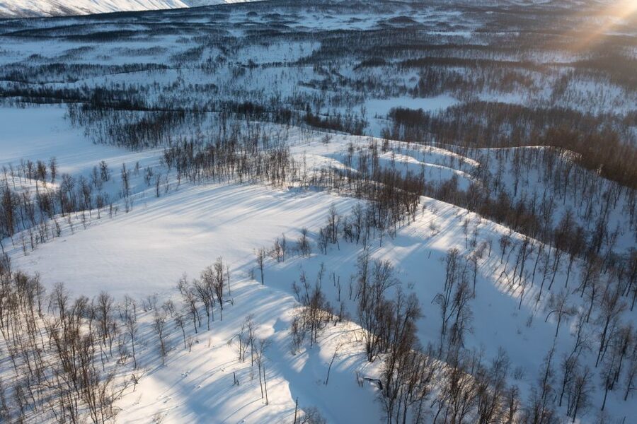 Breivikeidet: Cross-Country Skiing & Husky Visit - Where You Meet in Tromsø (and What to Do Before You Go)