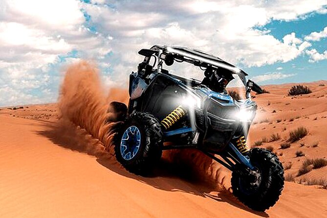 CAN-AM Buggy 04 Seater with Camel Riding and Sand Skiing - Camel riding: the slower pause after the throttle