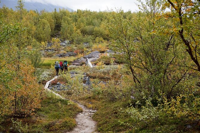 Classic Wilderness Skiing in the Pyhä-Luosto National Park - Key Points to Know Before You Go