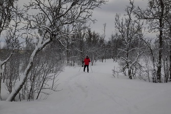 Cross-Country Ski Lesson for Beginners in Tromso - Weather, snow, and the Tromsø sun factor