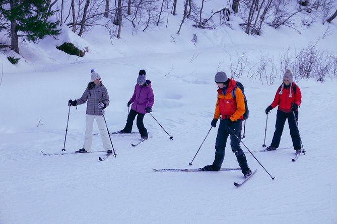Cross-Country Ski Lesson for Beginners in Tromso - What the small group feels like on the skis