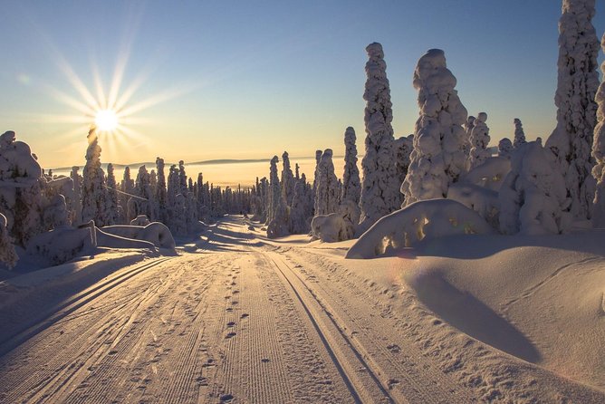 Cross-Country Skiing Guided Tour From Prague - Why Jizera Mountains cross-country skiing beats a DIY day