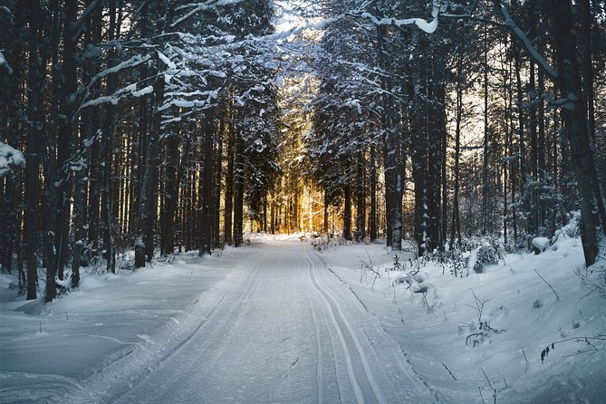 Cross-Country Skiing Guided Tour From Prague - Where lunch fits: Liberec stop for real Czech comfort food