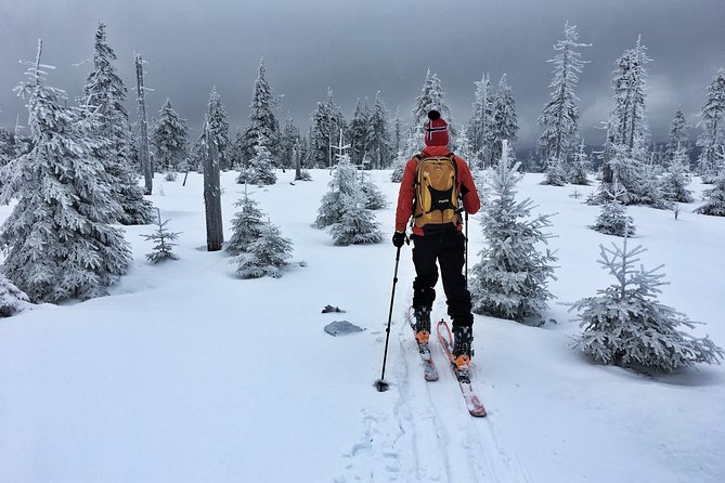 Cross-Country Skiing Guided Tour From Prague - Returning to Prague around 6 pm