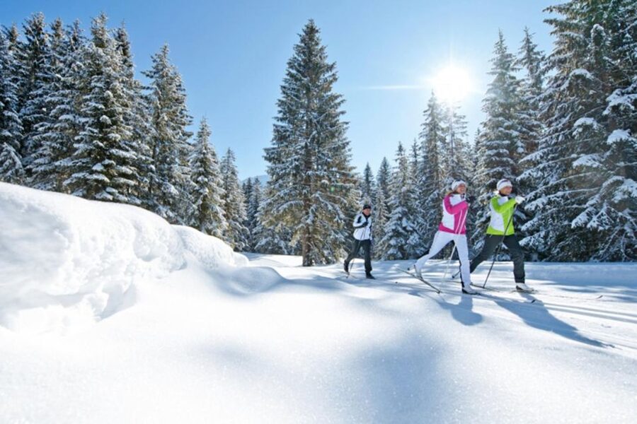 Cross Country Skiing Lessons for Beginners (Feldberg) - Feldberg’s snowy trails make beginner skiing easier