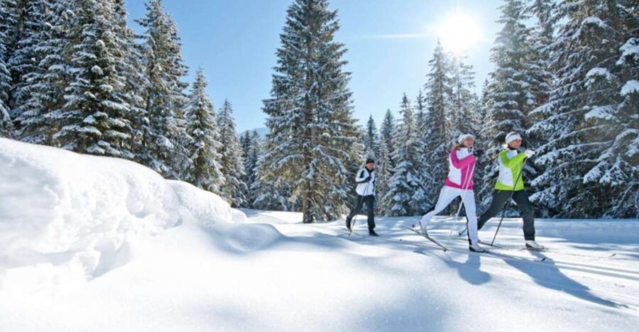 Cross Country Skiing Lessons for Beginners (Feldberg) - Meet at Köpfleweg 1 and plan your parking with Euro coins