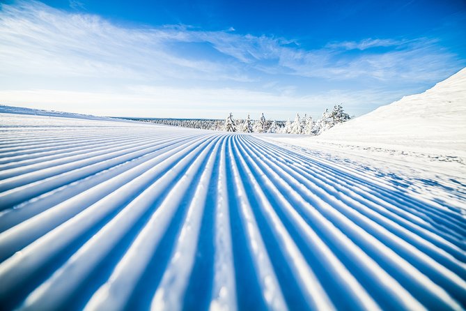 Cross-Country Skiing Trip - First steps on cross-country skis in Rovaniemi