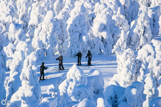Cross-Country Skiing Trip - Traditional vs skate skiing: try it without fear