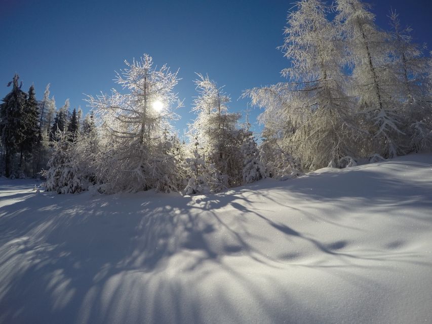 From Krakow: 3-Hour Skiing Experience Suitable for Beginners - Price and Value: What $279 Really Buys You