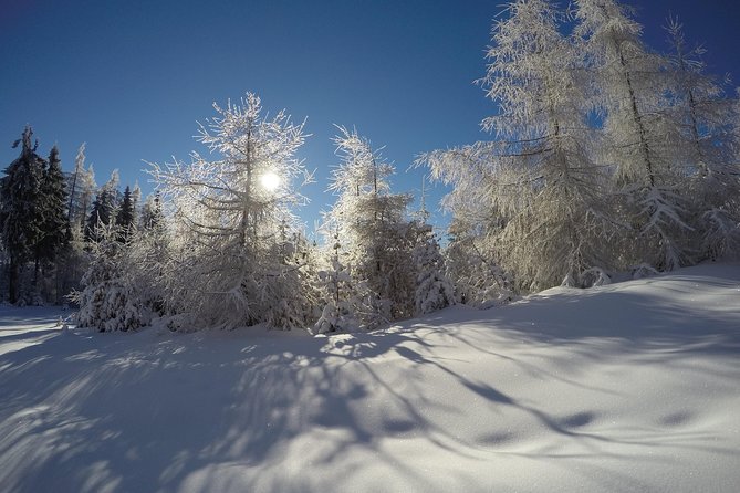 From Krakow: Siepraw Skiing for Beginners - Weather and Expectations: When It Works Best