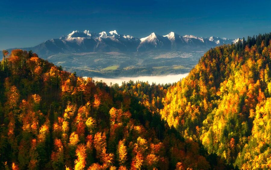 From Kraków: Witów Skiing and Zakopane Tour - The ski jump hill view: why it matters even if you ski only a little