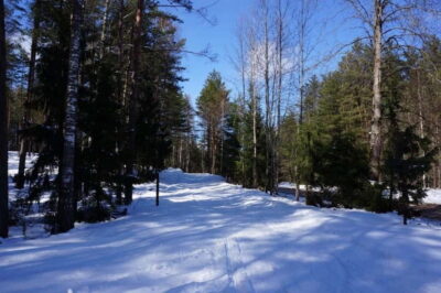 From Riga: Cross-country skiing and beating heart memorial - Cross-country skiing gear included: choosing longer or shorter skis