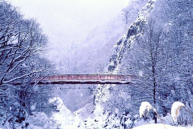 Full Day Private Skiing / Snowboarding Tour in Sapporo - What the Guide Helps You Do on Snow (Not Just Teach Turns)