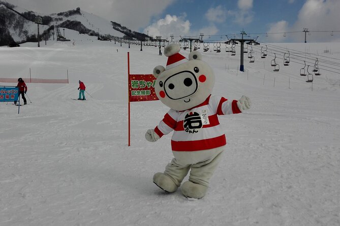 Full Day Ski Lesson (6 hours) in Yuzawa, Japan - A Real Private Lesson, Not a Group Shuffle