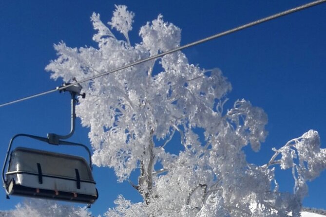Full Day Ski Lesson (6 hours) in Yuzawa, Japan - What Your Full Day Likely Looks Like (From 9:00am On Snow)