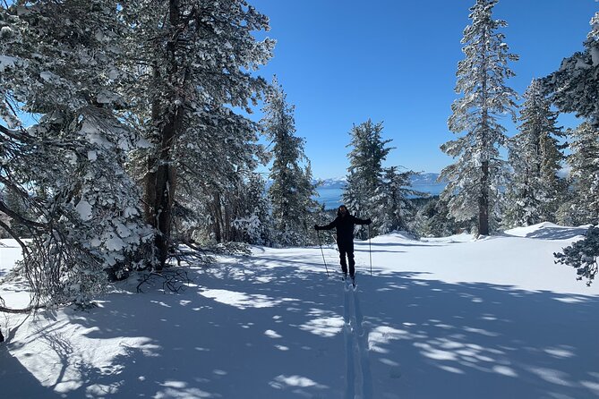 Guided Cross Country Skiing at Lake Tahoe - Your 2-hour plan: a focused lesson on snow safety