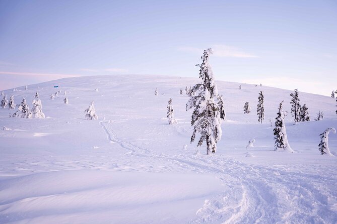Half-Day Backcountry Skiing Tour in Levi with Photography Guide - What’s included in the price (and why that matters for value)