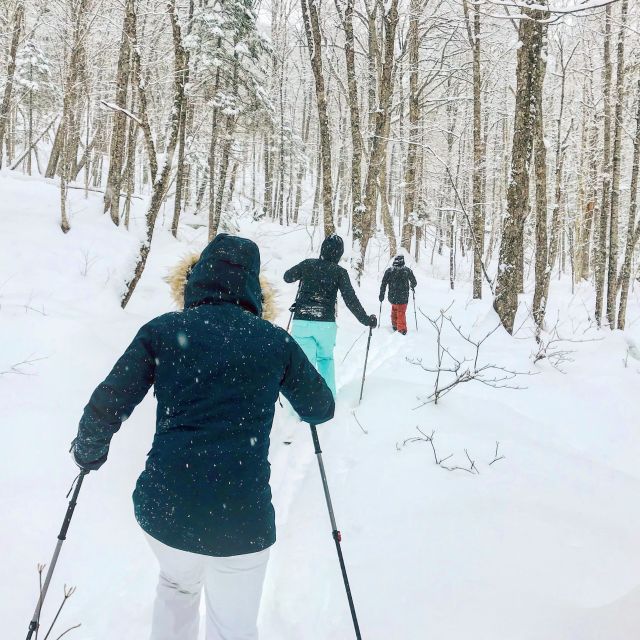 Jacques-Cartier National Park: Skiing Excursion - The guided start: fitting poles, learning the basics, getting moving
