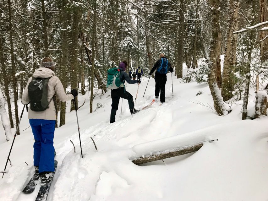 Jacques-Cartier National Park: Skiing Excursion - What you get (and what you need to bring)