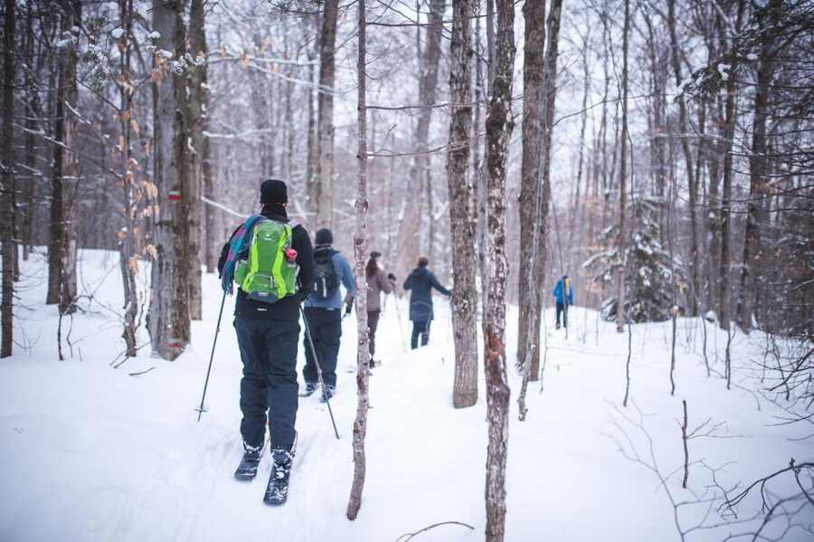 Jacques-Cartier National Park: Skiing Excursion - Getting to the park from Quebec City without fuss
