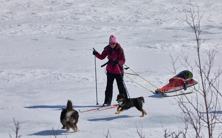 Kiruna: Cross-Country Skiing Tour with a Guide - Kiruna Arctic Skiing: what the guided 3 hours is really like