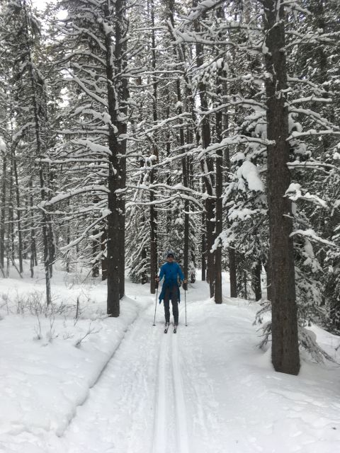 Lake Louise: Cross Country Skiing Lesson with Tour - Safety briefing first: the 15 minutes that prevents chaos