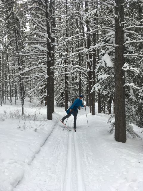 Lake Louise: Cross Country Skiing Lesson with Tour - Afternoon confidence building with another guided tour