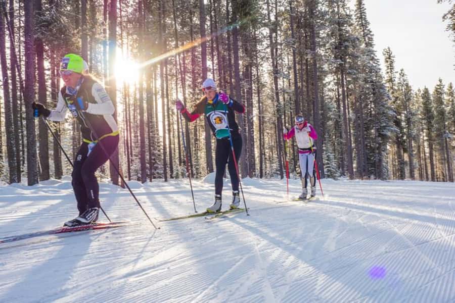 Lake Tahoe: Guided Cross Country Skiing Tour - Why This Guided Cross-Country Skiing Tour Works in Tahoe