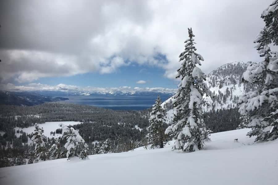 Lake Tahoe: Guided Cross Country Skiing Tour - What You’ll Learn on Snow: Skis, Poles, and Staying Safe