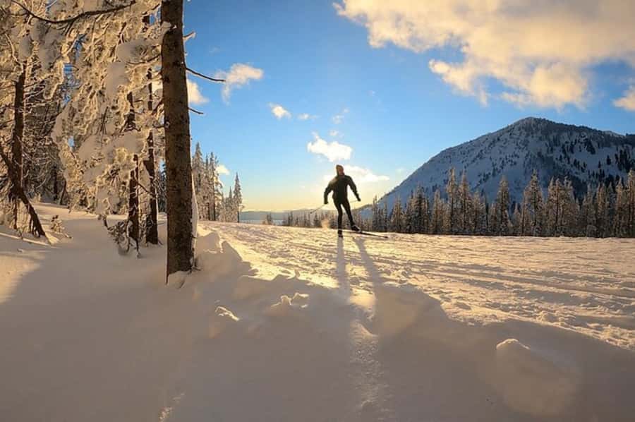 Lake Tahoe: Guided Cross Country Skiing Tour - Price and Value: Is $163 Worth It?