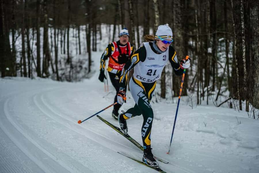 Lake Tahoe: Guided Cross Country Skiing Tour - Practical Considerations for Snow Day Reality