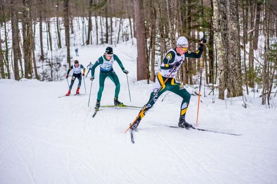 Lake Tahoe: Guided Cross Country Skiing Tour - Meeting at the Shop and Riding the Shuttle to Groomed Trails