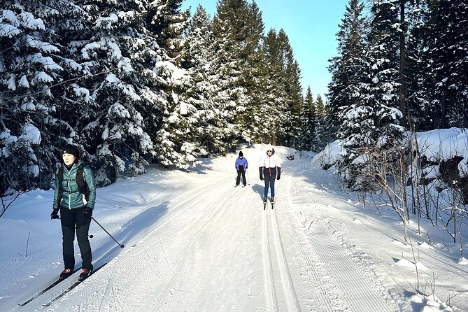 Learn Nordic Skiing - Private Class with Professional Instructor - The 90-Minute Flow: How the Session Typically Builds Skill