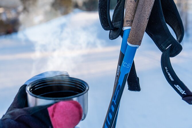 Learn Nordic Skiing - Private Class with Professional Instructor - The Ski Equipment Choice: Included vs. Rental Decision (399 NOK)