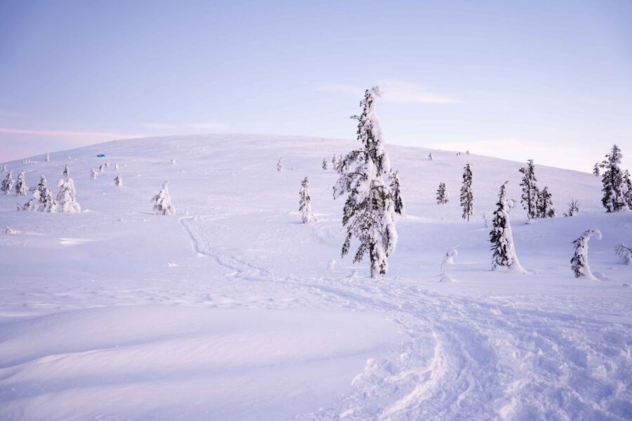 Levi: Backcountry Skiing Adventure - Key points to know before you go