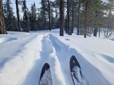 Luleå: Nordic Touring Skiing Adventure - Nordic touring skis: stable, wider, and easier to trust
