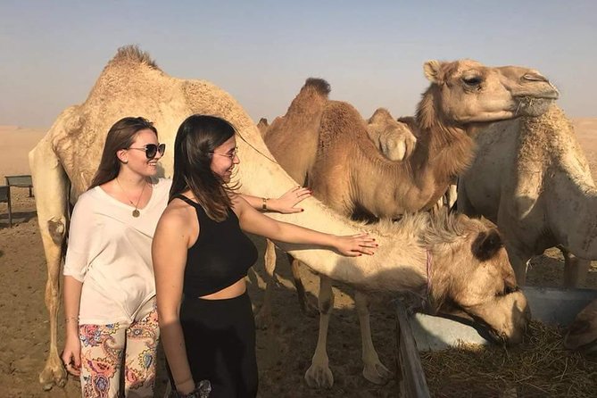 Morning Desert Safari with Camel Ride & Sand Skiing Private Tours - Key Things You’ll Really Notice on This Private Safari