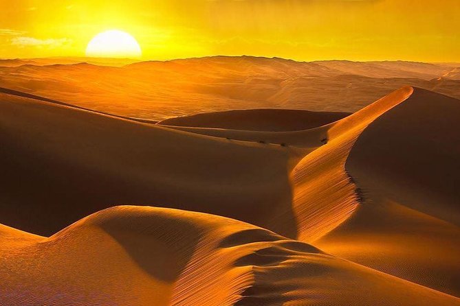 Morning Desert Safari with Camel Ride & Sand Skiing Private Tours - The Big Action: 4x4 Dune Bashing (Fast, Rough, and Worth It)