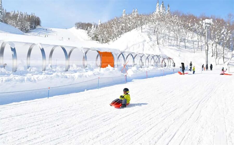 Mt. Fuji Skiing Experience- YETI Ski Resort & Onsen Day Trip - Beginner-friendly slopes plus a guide who helps you stay calm