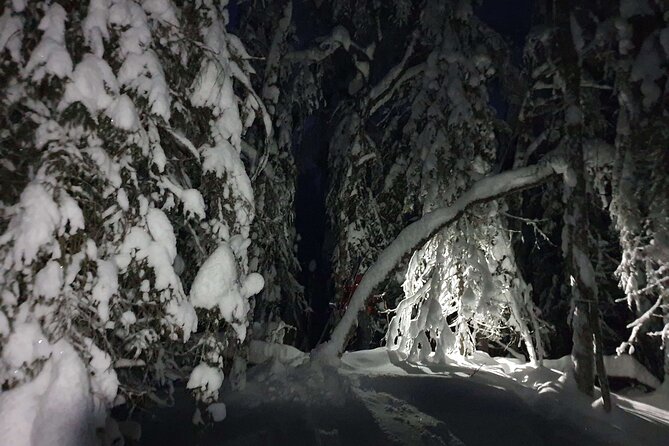 Nocturnal Skiing: Experience the Arctic's Magic - Night ski magic on Lake Norvajärvi’s frozen ice