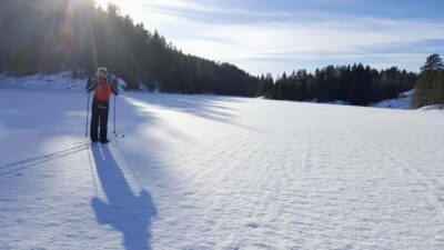 Oslo: Wilderness Skiing Tour with Lunch by the Fire - The 3.5-Hour Flow: How the Day Stays Fun (Not Exhausting)