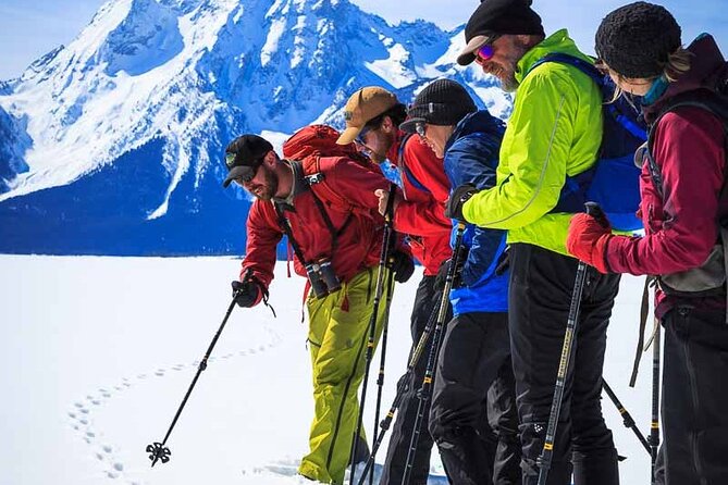 Private 4 Hour Beginner Cross Country Skiing in Grand Teton - Price and logistics: what $973 buys you in the real world