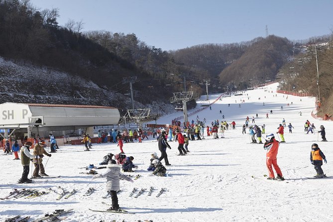 Private Ski Tour(Lesson) near Seoul at Elysian Gangchon Resort - Key Highlights You’ll Actually Care About