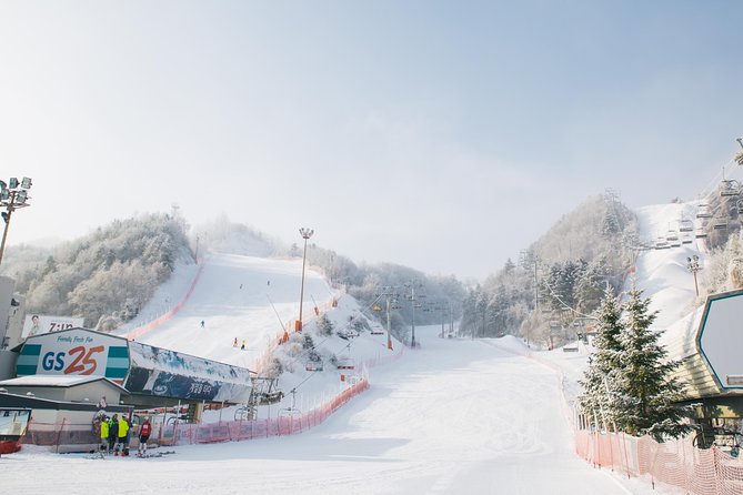 Private Ski Tour(Lesson) near Seoul at Elysian Gangchon Resort - Elysian Gangchon: Why This Resort Works for Beginners