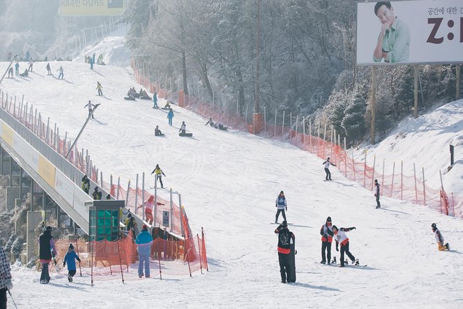 Private Ski Tour(Lesson) near Seoul at Elysian Gangchon Resort - Slopes, Lifts, and Waiting: Learning Without Losing Your Momentum