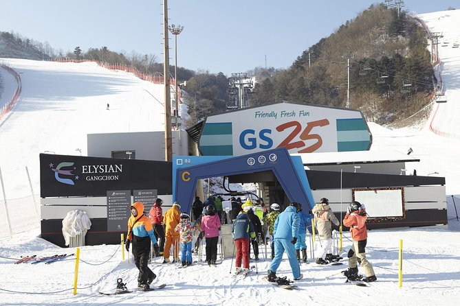 Private Ski Tour(Lesson) near Seoul at Elysian Gangchon Resort - Best Fit: Who This Private Tour Is Great For
