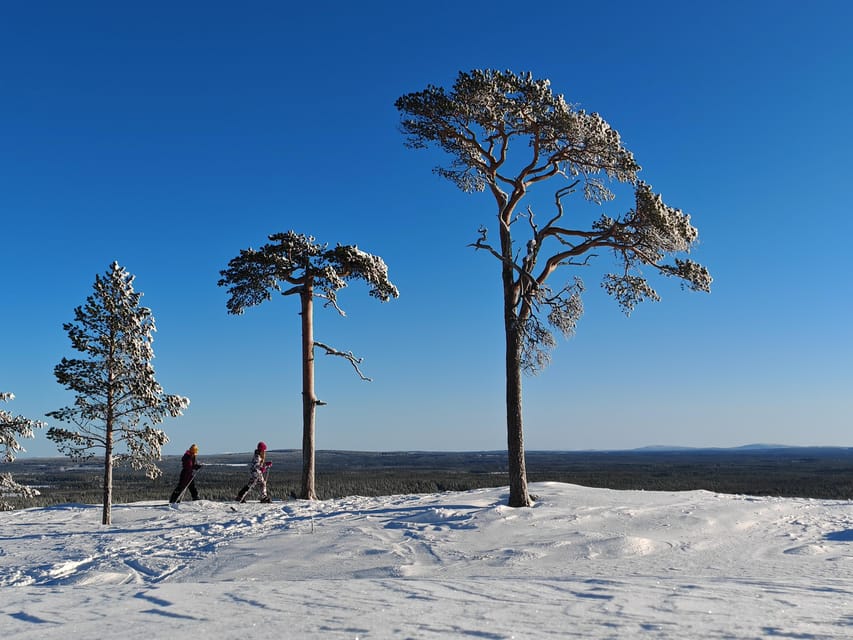 Pyhätunturi: Try Wilderness Skiing in Finnish Lapland - The Two-Hour Guided Ski: Stories, Stops, and Forest Sámi Context